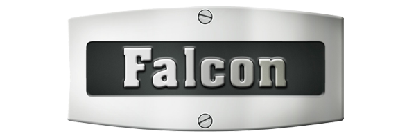 Falcon Services